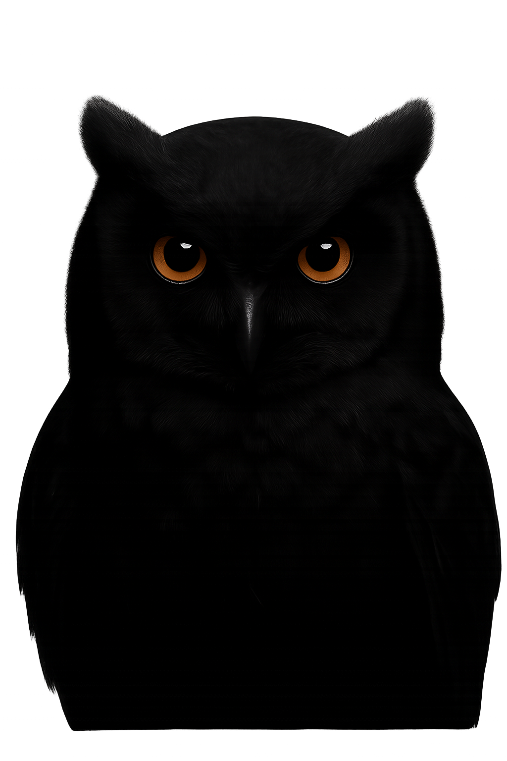 Black Owl Profile